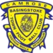 Basingstoke Town